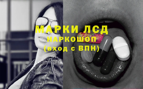 герыч Новозыбков