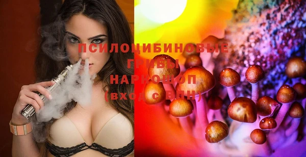 гидропоника Абаза